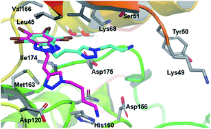 Graphical abstract: Synthesis, biological activity and structural study of new benzotriazole-based protein kinase CK2 inhibitors