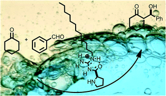 Graphical abstract: Intramolecular hydrogen bonding guides a cationic amphiphilic organocatalyst to highly stereoselective aldol reactions in water