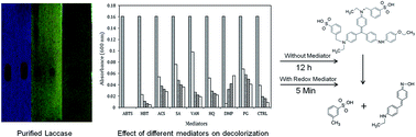 Graphical abstract: Textile dye degradation potential of plant laccase significantly enhances upon augmentation with redox mediators