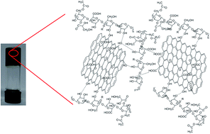 Graphical abstract: 3D welan gum–graphene oxide composite hydrogels with efficient dye adsorption capacity
