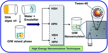 Graphical abstract: Fabrication of a nutrient delivery system of docosahexaenoic acid nanoemulsions via high energy techniques