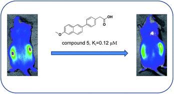 Graphical abstract: Discovery of a series of 2-phenylnaphthalenes as firefly luciferase inhibitors