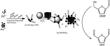 Graphical abstract: Plant-mediated synthesis of Au–Pd alloy nanoparticles supported on MnO2 nanostructures and their application toward oxidation of 5-(hydroxymethyl)furfural