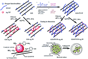 Graphical abstract: Enhanced catalytic and antibacterial activities of silver nanoparticles immobilized on poly(N-vinyl pyrrolidone)-grafted graphene oxide