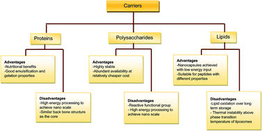 Graphical abstract: Encapsulation of food protein hydrolysates and peptides: a review