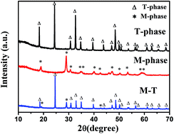 Graphical abstract: Microwave-assisted synthesis of monoclinic–tetragonal BiVO4 heterojunctions with enhanced visible-light-driven photocatalytic degradation of tetracycline