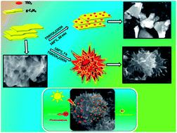 Graphical abstract: Template free synthesis of graphitic carbon nitride/titania mesoflowers