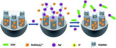 Graphical abstract: A reversible molecule-gated system using mesoporous silica nanoparticles functionalized with K+-stabilized G-rich quadruplex DNA