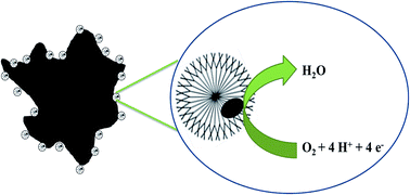 Graphical abstract: Dendrimer confined Pt nanoparticles: electro-catalytic activity towards the oxygen reduction reaction and its application in polymer electrolyte membrane fuel cells