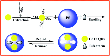 Graphical abstract: Swelling technique inspired synthesis of a fluorescent composite sensor for highly selective detection of bifenthrin