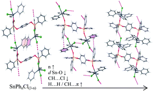 Graphical abstract: Supramolecular assemblies of organotin(iv)–diphosphoryl adducts: insights from X-rays and DFT