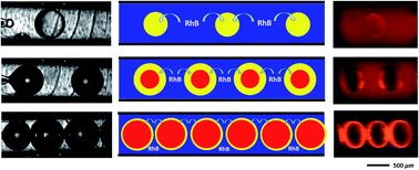 Graphical abstract: The enhancement of liquid–liquid extraction with high phase ratio by microfluidic-based hollow droplet