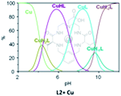 Graphical abstract: Coordination behaviour of new open chain and macrocyclic peptidomimetic compounds with copper(ii)