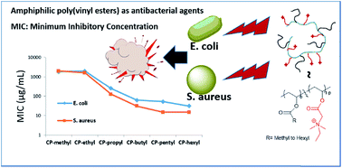 Graphical abstract: Structure-activity investigations on amphiphilic cationic copolymers of vinyl N,N-dimethylethylglycinate with vinyl alkanoate esters as highly effective antibacterial agents