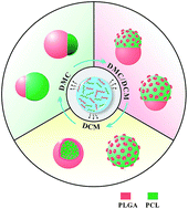Graphical abstract: One-step fabrication of polymeric hybrid particles with core–shell, patchy, patchy Janus and Janus architectures via a microfluidic-assisted phase separation process