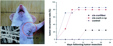 Graphical abstract: Local, combination chemotherapy in prevention of cervical cancer recurrence after surgery by using nanofibers co-loaded with cisplatin and curcumin
