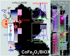 Graphical abstract: Recyclable magnetic CoFe2O4/BiOX (X = Cl, Br and I) microflowers for photocatalytic treatment of water contaminated with methyl orange, rhodamine B, methylene blue, and a mixed dye