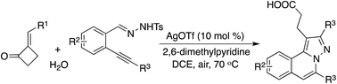 Graphical abstract: An unexpected three-component reaction of 2-alkylenecyclobutanone and N′-(2-alkynylbenzylidene)hydrazide with water
