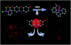 Graphical abstract: Resorufin based fluorescence ‘turn-on’ chemodosimeter probe for nitroxyl (HNO)