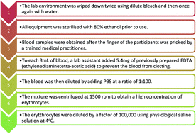 Graphical abstract: Atomic force microscopy for dynamic observation of human erythrocytes in a microfluidic system