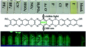 Graphical abstract: Synthesis, physical properties and ion recognition of a novel larger heteroacene with eleven linearly-fused rings and two different types of heteroatom