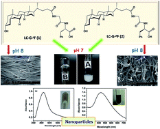 Graphical abstract: Hydrogelation of bile acid–peptide conjugates and in situ synthesis of silver and gold nanoparticles in the hydrogel matrix