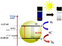 Graphical abstract: A mechanistic approach for superoxide radicals and singlet oxygen mediated enhanced photocatalytic dye degradation by selenium doped ZnS nanoparticles