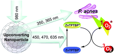 Graphical abstract: Harmonization of upconverting nanocrystals and photosensitizer for antimicrobial application