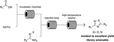 Graphical abstract: A high-throughput synthesis of 1,2,4-oxadiazole and 1,2,4-triazole libraries in a continuous flow reactor
