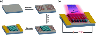 Graphical abstract: ZnO quantum dots and graphene based heterostructure for excellent photoelastic and highly sensitive ultraviolet photodetector
