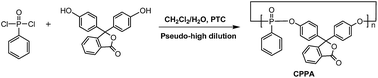 Graphical abstract: Fire retardant and charring effect of cyclic phenolphthalein (phenylene phosphonate) oligomer on polybutylene terephthalate