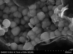 Graphical abstract: Integration of MnO@graphene with graphene networks towards Li-ion battery anodes