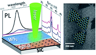 Graphical abstract: Direct epitaxial CVD synthesis of tungsten disulfide on epitaxial and CVD graphene