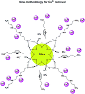 Graphical abstract: Polarity adjustment of a nanosilica-functionalized polyamine modified by ionic liquid for removal of Cu2+ from aqueous solutions