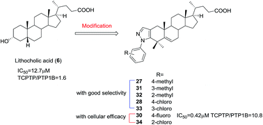 Graphical abstract: Synthesis and biological evaluation of novel 2,3-pyrazole ring-substituted-4,4-dimethyl lithocholic acid derivatives as selective protein tyrosine phosphatase 1B (PTP1B) inhibitors with cellular efficacy