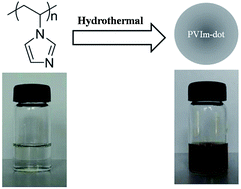 Graphical abstract: A biocompatible poly(N-vinylimidazole)-dot with both strong luminescence and good catalytic activity