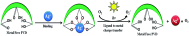 Graphical abstract: Pyoverdin mediated sunlight induced green synthesis of silver nanoparticles