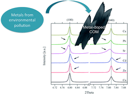 Graphical abstract: Structural analysis of metal-doped calcium oxalate