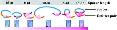 Graphical abstract: DNA template-regulated intergrowth of a fluorescent silver nanocluster emitter pair
