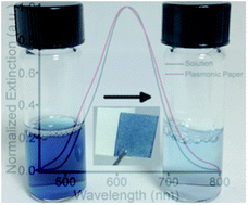 Graphical abstract: Plasmonic paper: a porous and flexible substrate enabling nanoparticle-based combinatorial chemistry