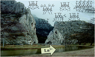 Graphical abstract: Synergism as a phenomenon in solvent extraction of 4f-elements with calixarenes