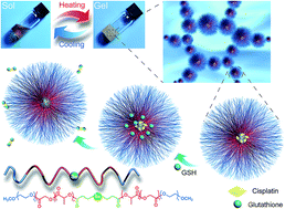 Graphical abstract: Selenium-containing thermogel for controlled drug delivery by coordination competition