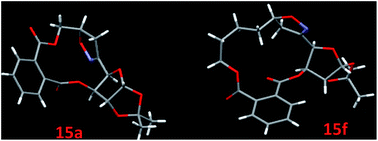 Graphical abstract: Phthalate tethered strategy: carbohydrate nitrile oxide cycloaddition to 12–15 member chiral macrocycles with alkenyl chain length controlled orientation of bridged isoxazolines