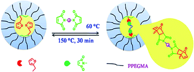Graphical abstract: Amphiphilic functional block copolymers bearing a reactive furfuryl group via RAFT polymerization; reversible core cross-linked micelles via a Diels–Alder “click reaction”