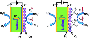 Graphical abstract: Inverse effects of supporting electrolytes on the electrocatalytic nitrate reduction activities in a Pt|Nafion|Pt–Cu-type reactor assembly