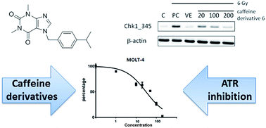 Graphical abstract: Novel caffeine derivatives with antiproliferative activity