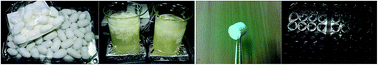 Graphical abstract: Preparation, characterization and biocompatible properties of β-chitin/silk fibroin/nanohydroxyapatite composite scaffolds prepared using a freeze-drying method