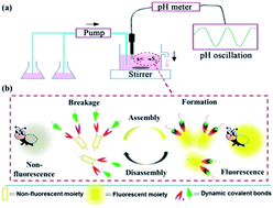 Graphical abstract: A rhythmic assembly system with fireflies' function based on reversible formation of dynamic covalent bonds driven by a pH oscillator