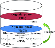 Graphical abstract: Highly efficient conversion of carbohydrates into 5-hydroxymethylfurfural using the bi-functional CrPO4 catalyst