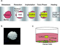 Graphical abstract: Co-delivery of siRNA and doxorubicin to cancer cells from additively manufactured implants